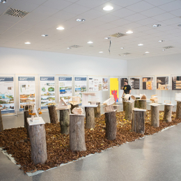 Kutatók Éjszakája 2017.