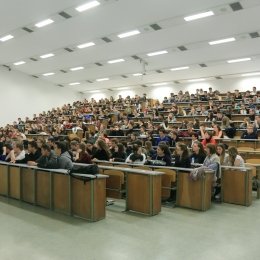 Élményműhely a karon