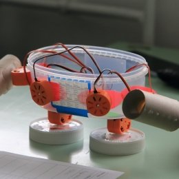 Élményműhely a karon