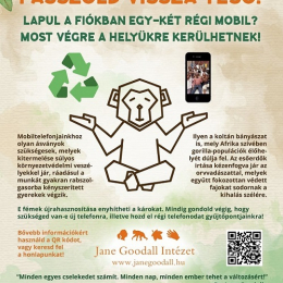 Passzold vissza tesó!