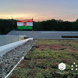 Emberközpontú belsőépítészet díjat nyert a PTE MIK csapata a Solar Decathlonon