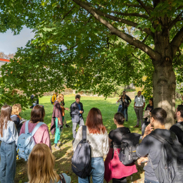 Cultural Puzzle Erasmus Blended Intensive Programme