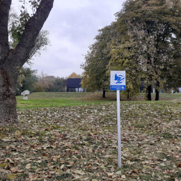 Hallgatók által készült odúval teszik komfortossá a madarak élőhelyét  - Madárbarát munkahely lett a PTE MIK